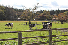 研究室旅行＠岩手 画像3