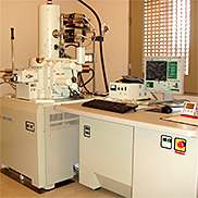 電界放射走査型電子顕微鏡
