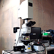 Laser microscope with heating stage for in-situ observation